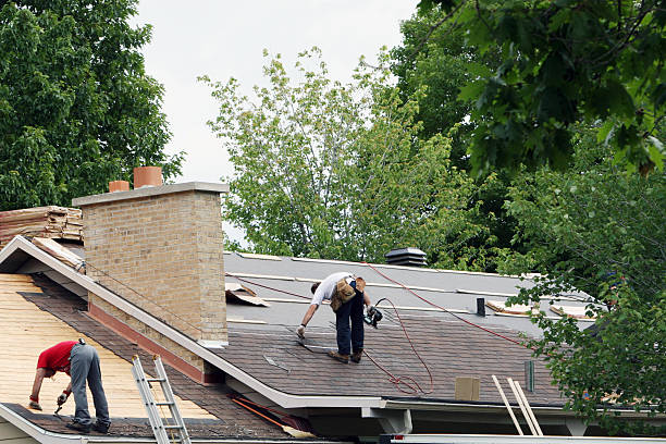 Best Roof Gutter Cleaning  in Green Village, NJ